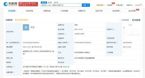 信息系統(tǒng)集成服務(wù)的全面解析
