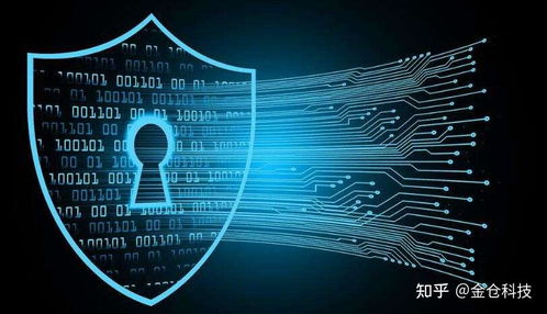 Web3.0、IPFS與Filecoin的協同演進 信息系統集成服務的視角